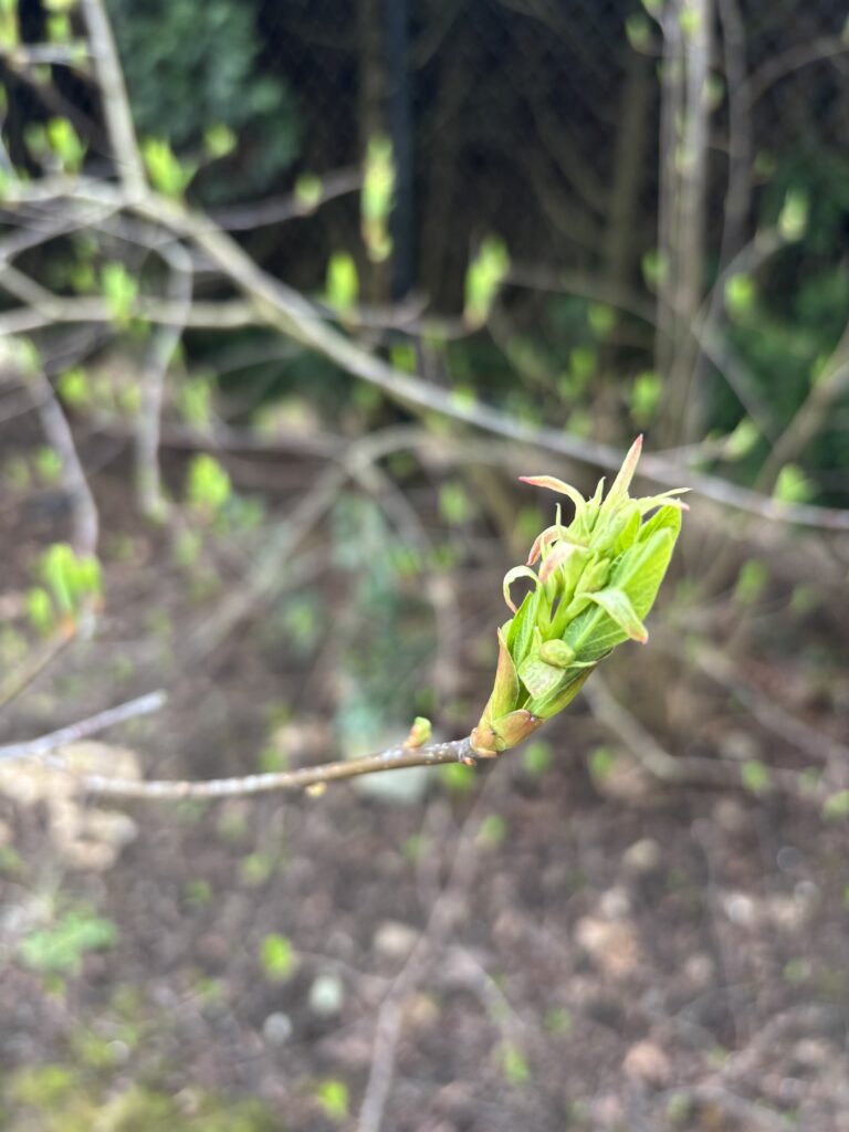 new beginning