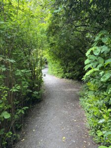 path trees